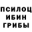 Галлюциногенные грибы Magic Shrooms Kelly Nine
