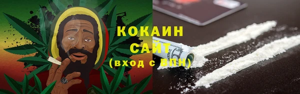сатива Алзамай